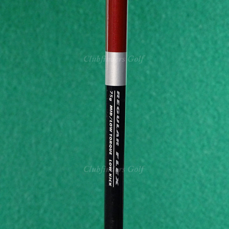 Callaway Big Bertha 2006 Single 9 Iron Factory 75g Graphite Regular